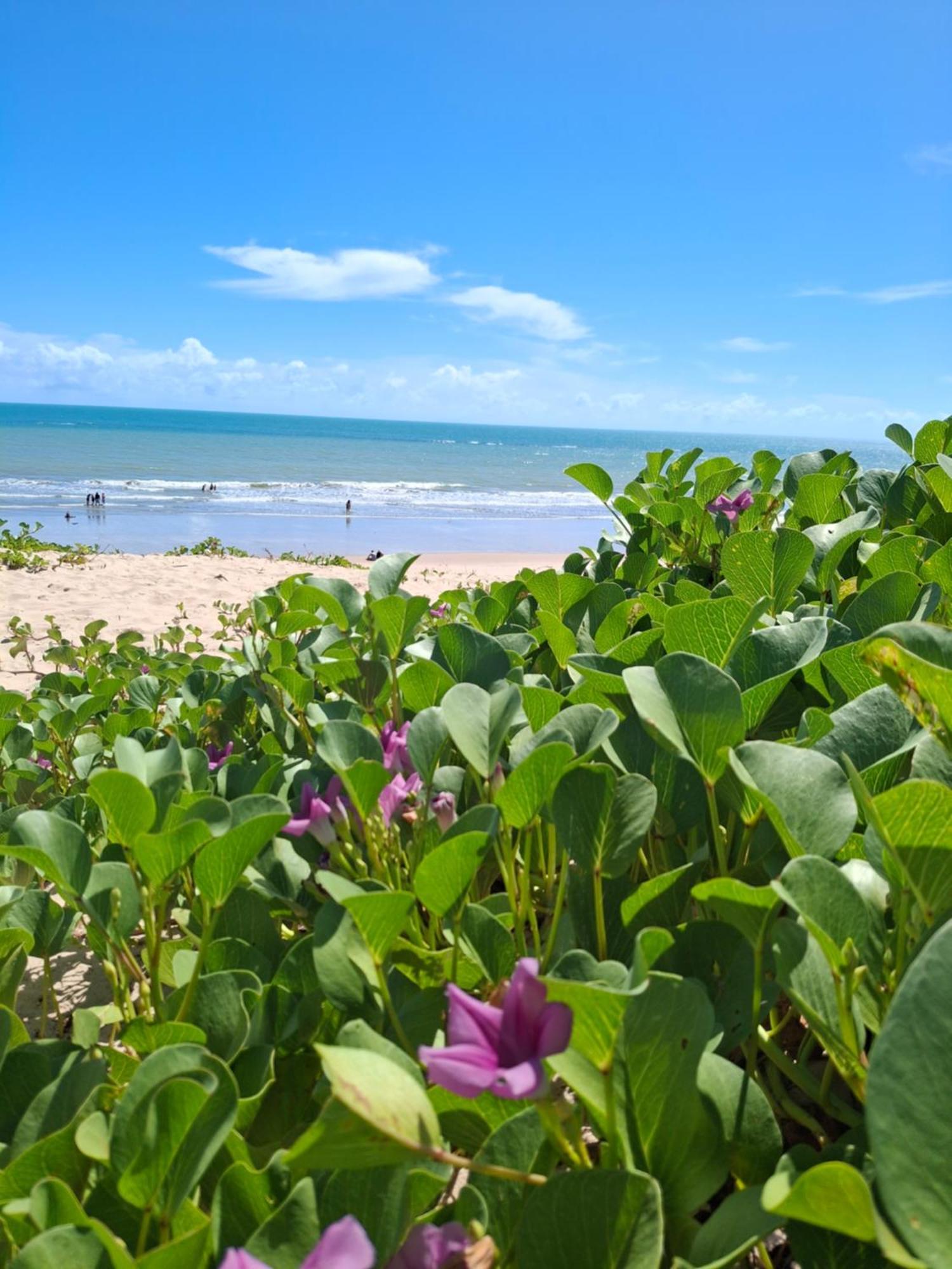 Manga Rosa Hospedagem Canoa Quebrada Eksteriør bilde